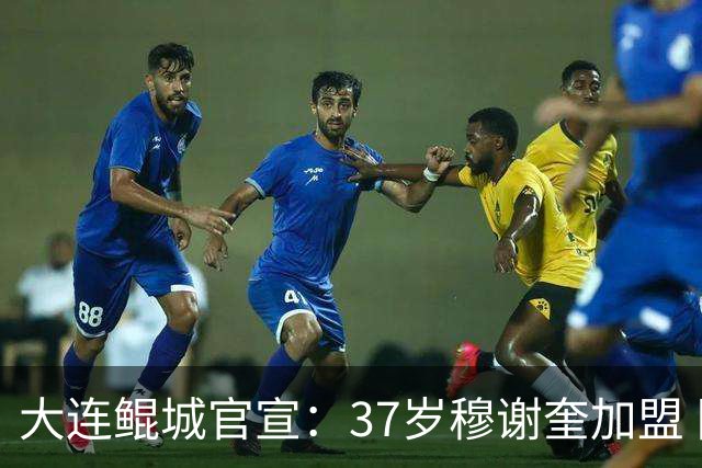 大连鲲城官宣：37岁穆谢奎加盟 队史首位外援